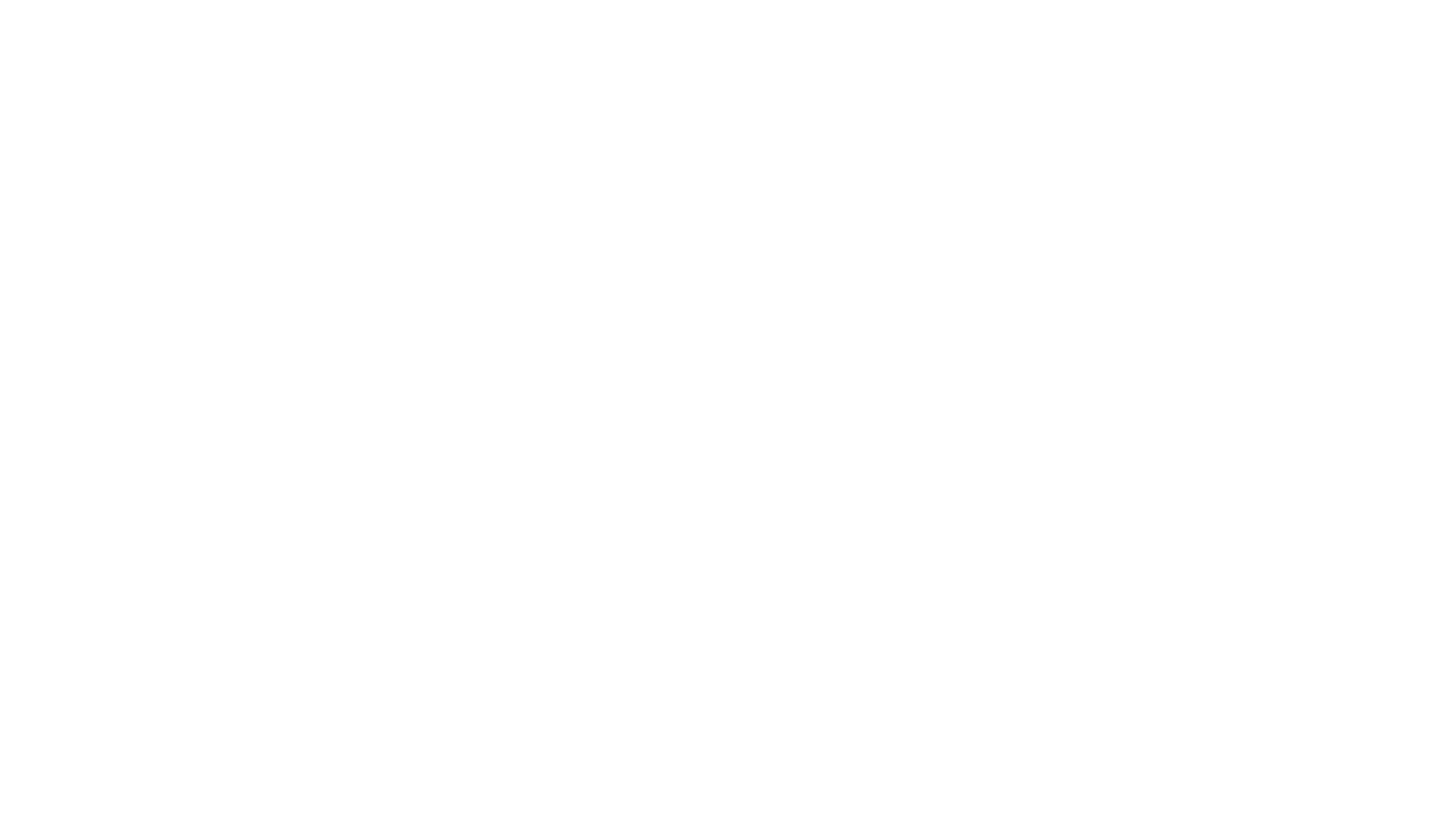 Südwest Media Network